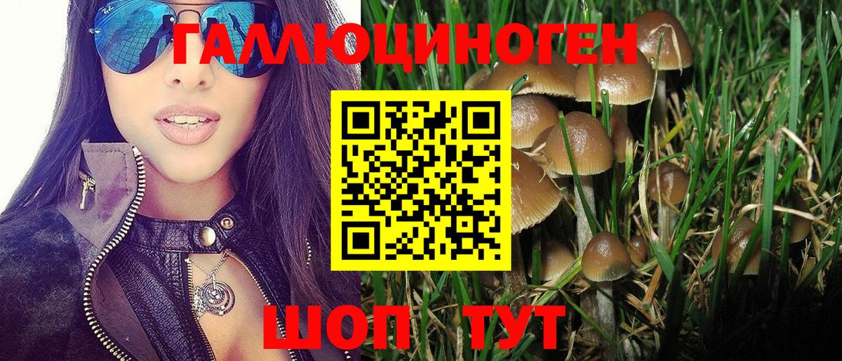 Галлюциногенные грибы Magic Shrooms Сегежа