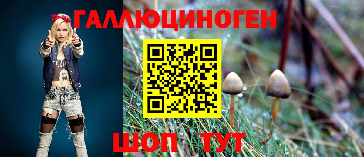 Сегежа  Псилоцибиновые грибы прущие грибы  Вход с VPN 
