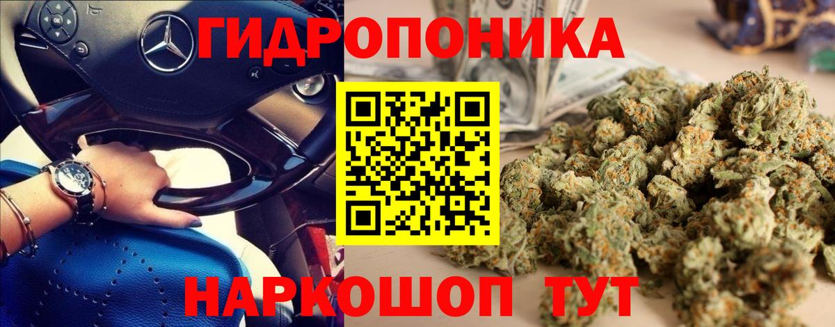 Конопля Amnesia Сегежа